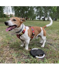 Frisbee dla psa RINGO - DLA ZWIERZĄT