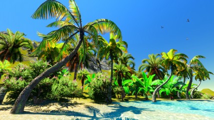 Fototapeta Egzotyczna plaża z palmami 1m2